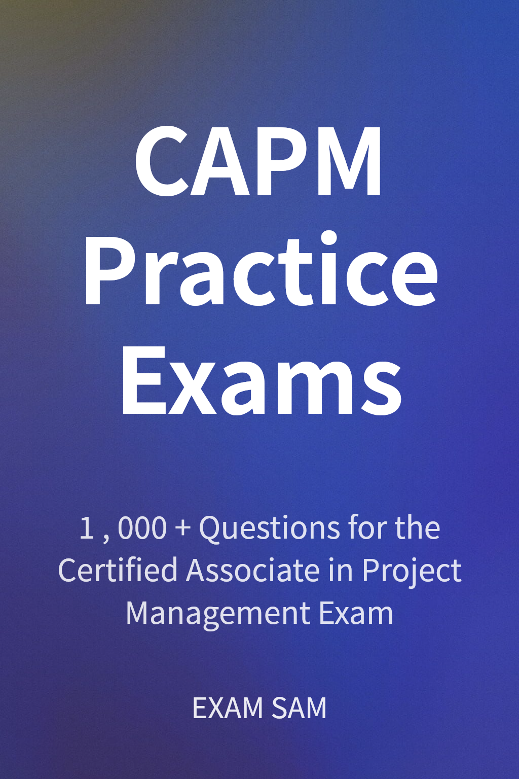 CAPM Practice Exams cover