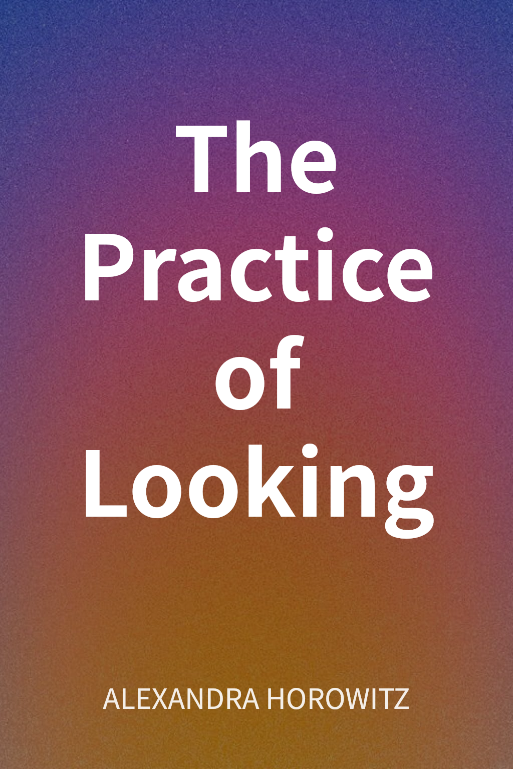The Practice of Looking cover