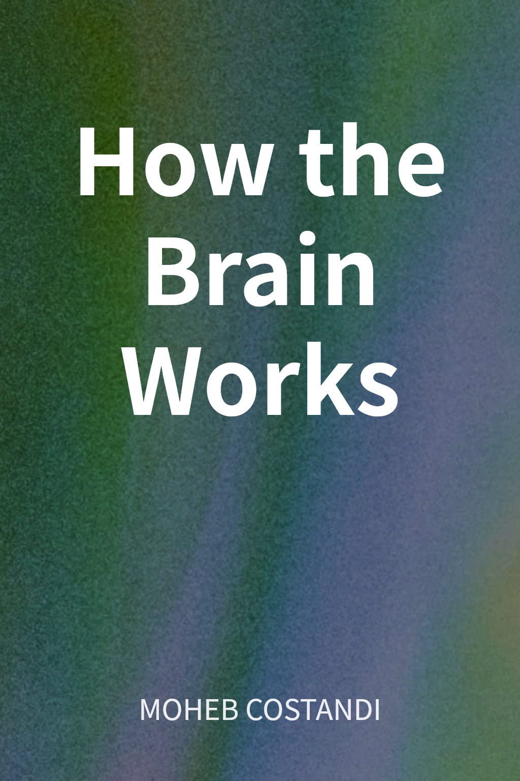 How the Brain Works cover