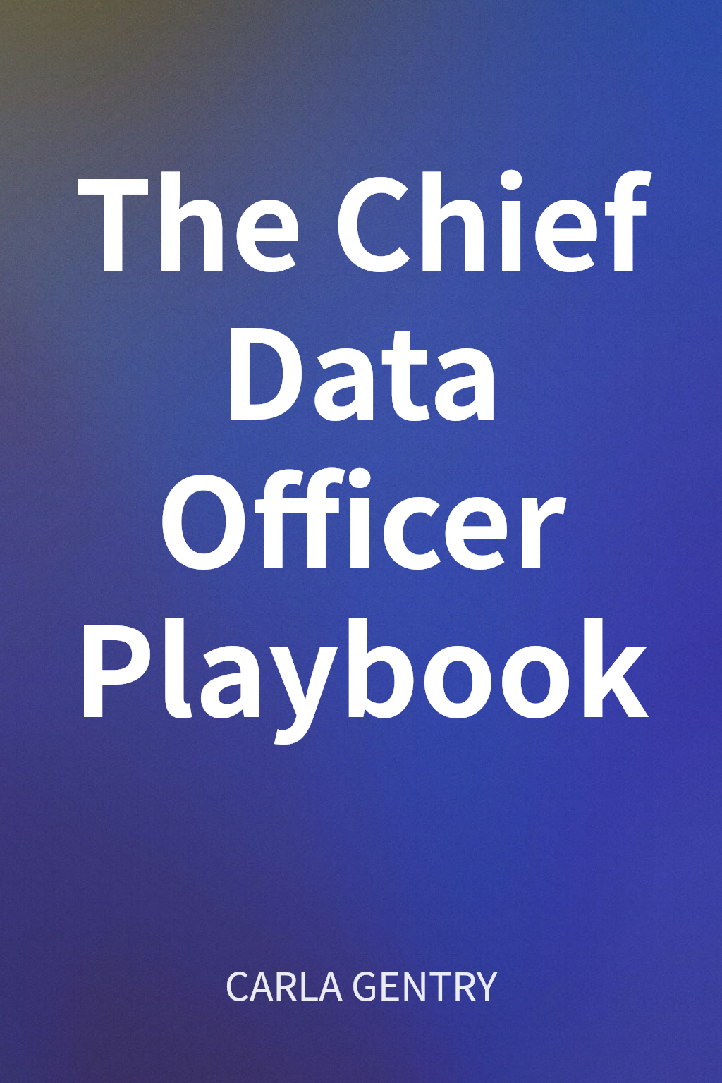 The Chief Data Officer Playbook cover