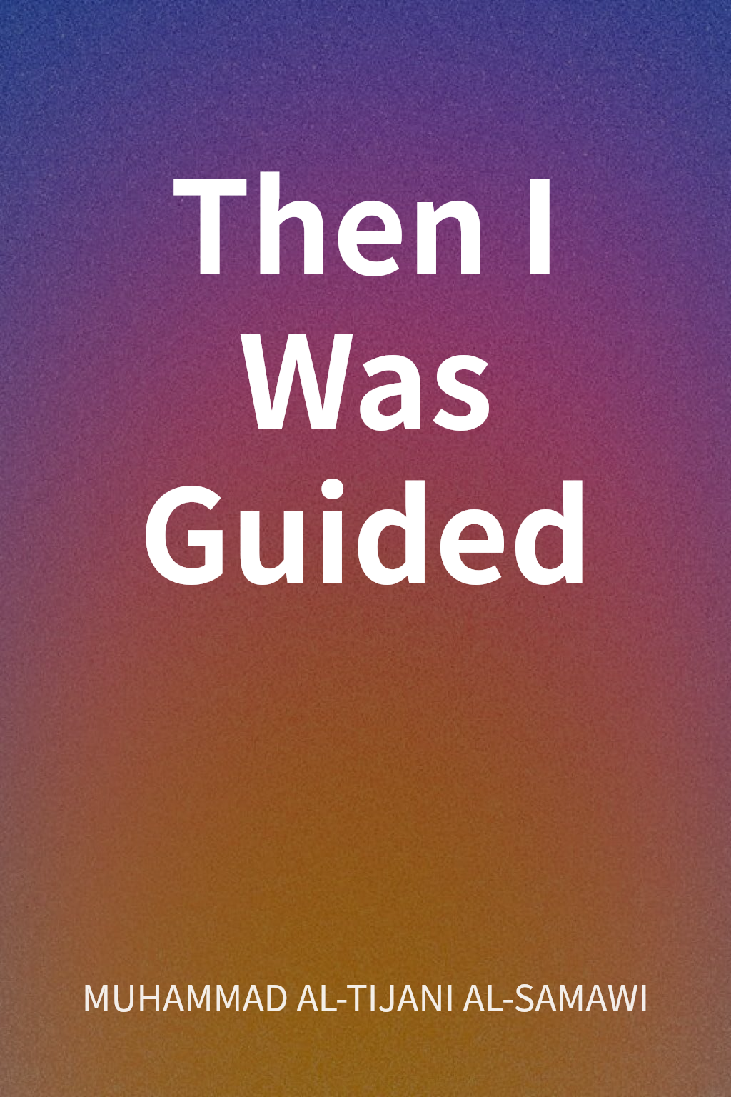 Then I Was Guided cover