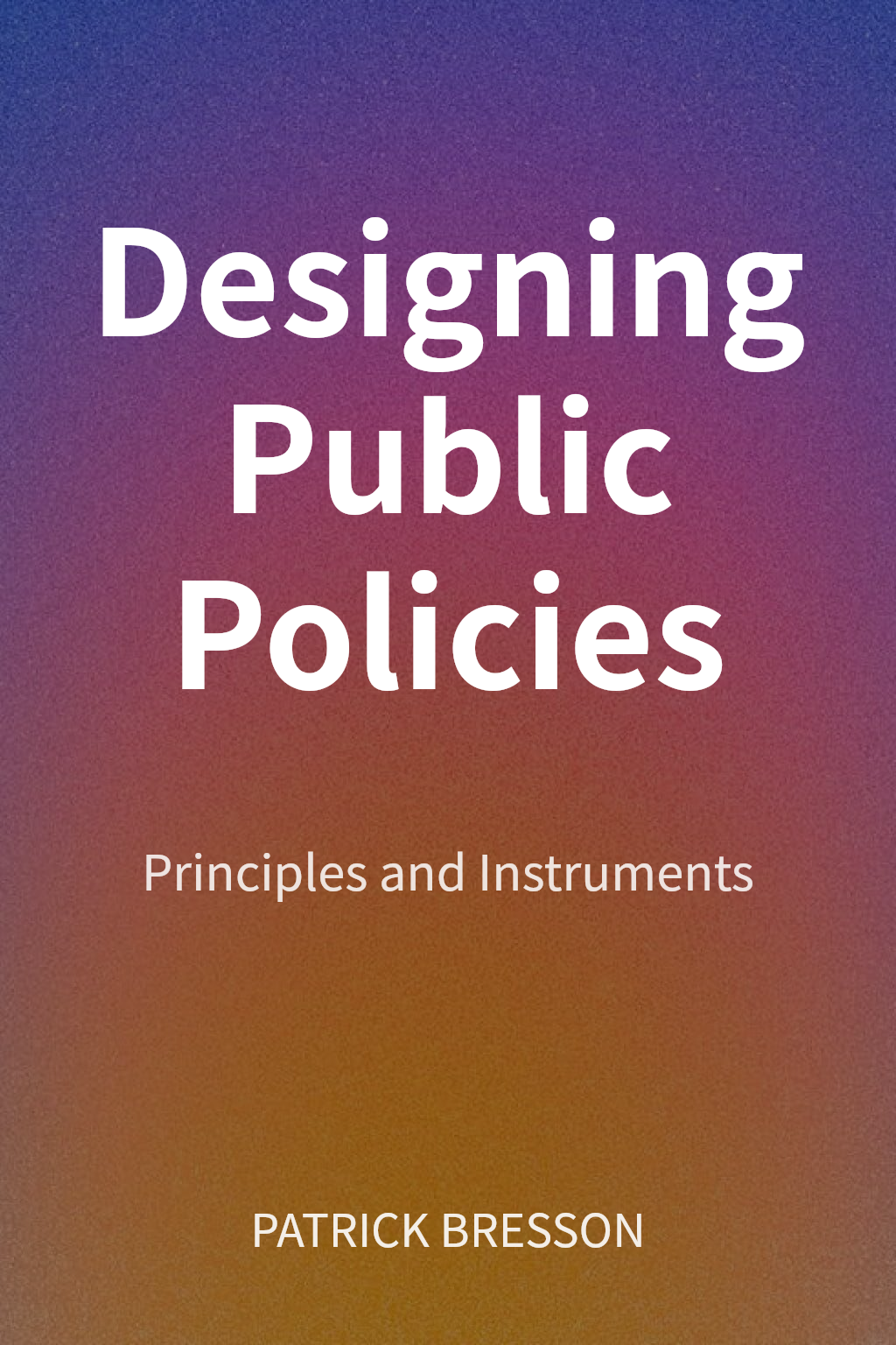 Designing Public Policies cover