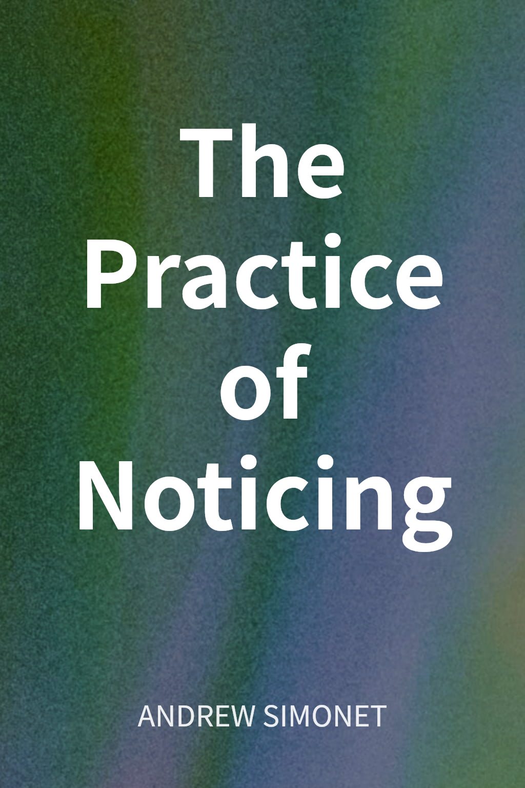 The Practice of Noticing cover