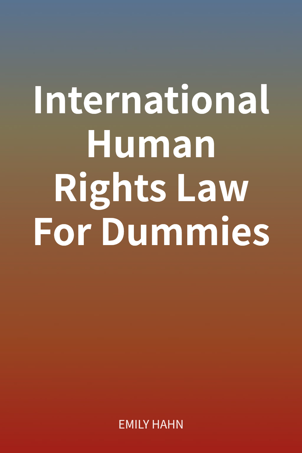 International Human Rights Law For Dummies cover