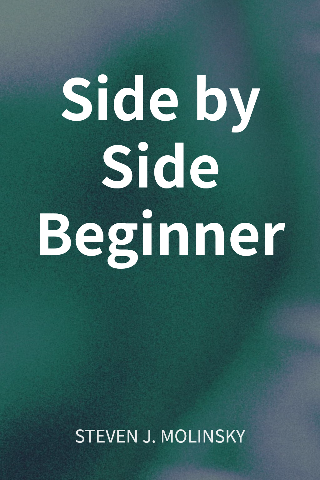Side by Side Beginner cover