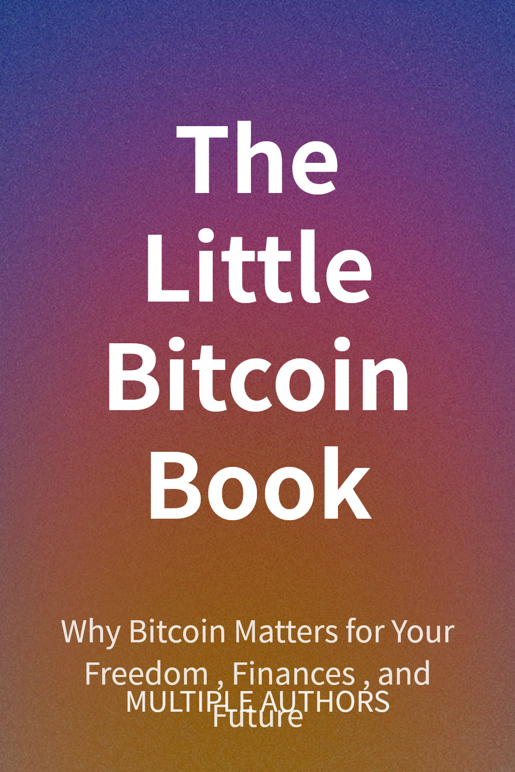 The Little Bitcoin Book cover