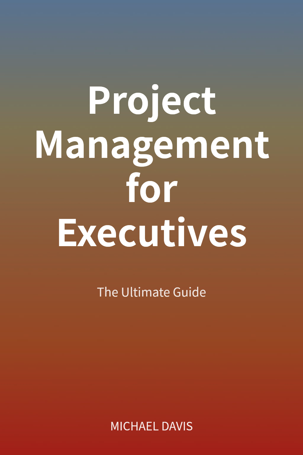 Project Management for Executives cover