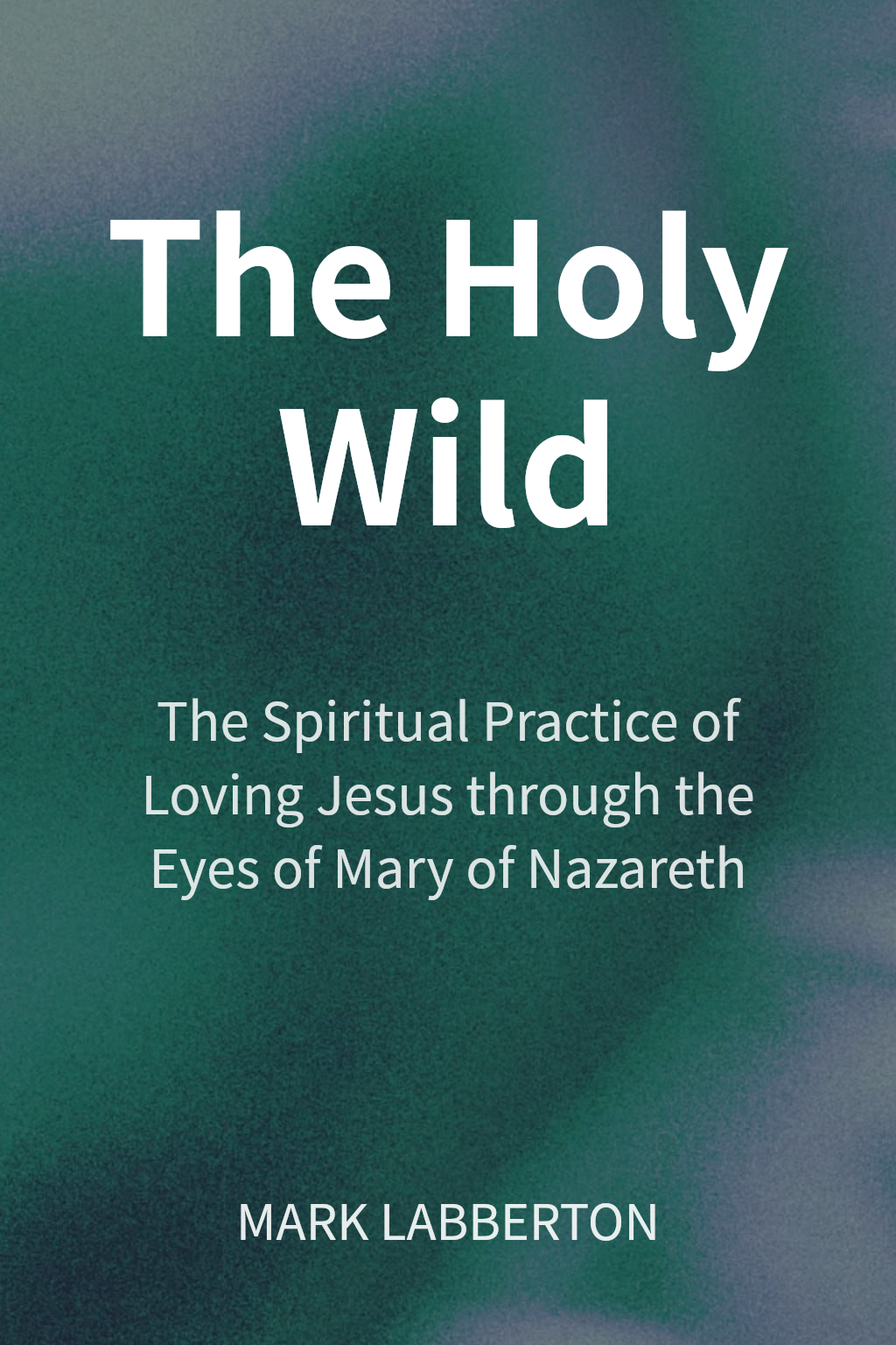 The Holy Wild cover