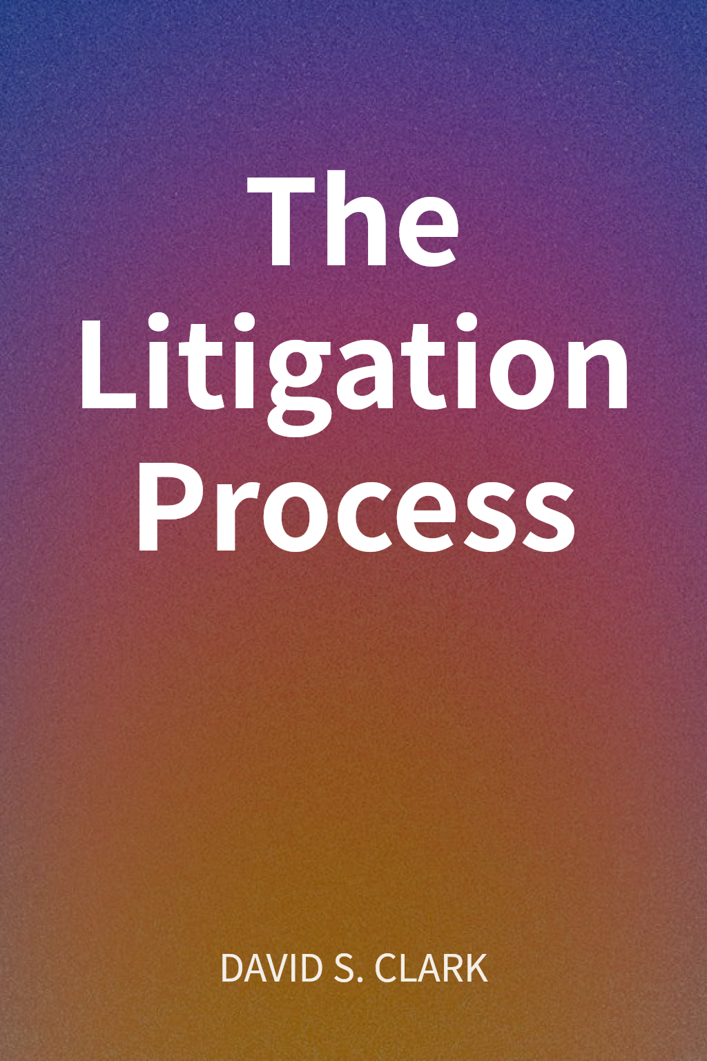 The Litigation Process cover