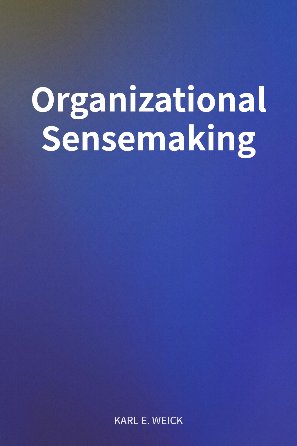 Organizational Sensemaking cover