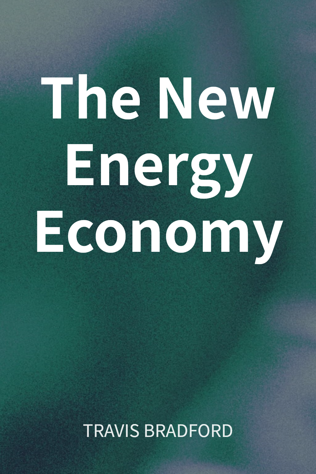 The New Energy Economy cover